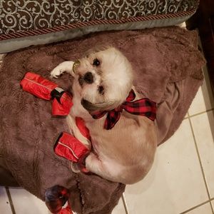 Meet your Posher, Sandra